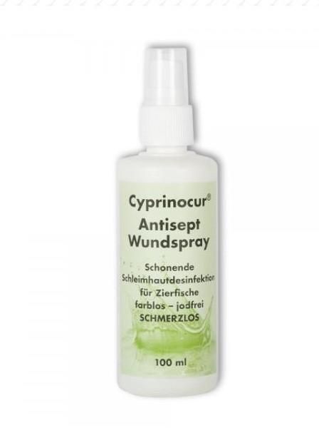 Cyprinocur Antisept Wundspray 100ml